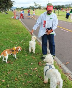 paseo de perros en parques en Quito